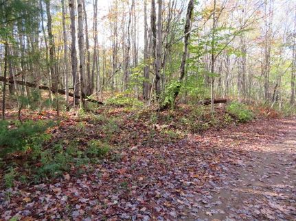 Farm Property for sale in Lewis County, New York