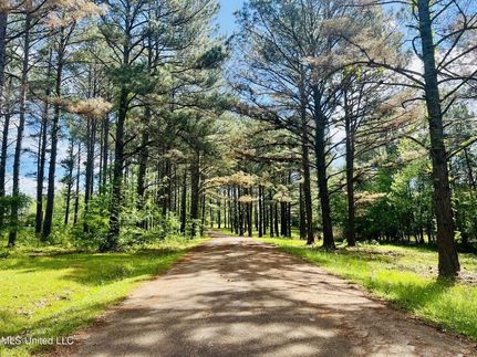 Residential Property in Madison County, Mississippi
