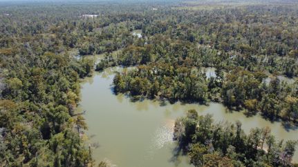 Ranch Property in Calcasieu Parish, Louisiana