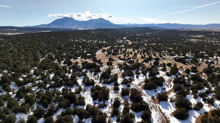 Timberland Property in Huerfano County, Colorado