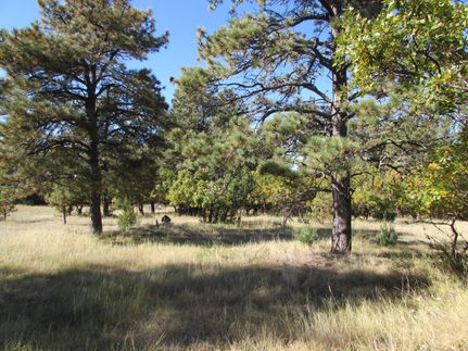 Ranch Property in Crook County, Wyoming