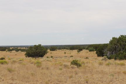 Farm Property in Apache County, Arizona