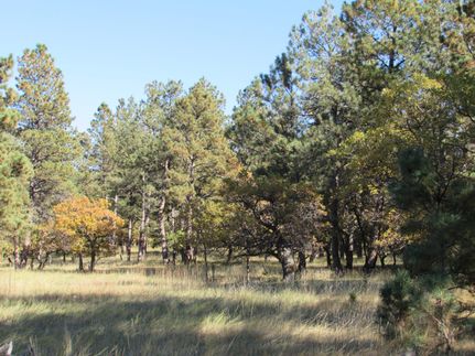 Ranch Property in Crook County, Wyoming