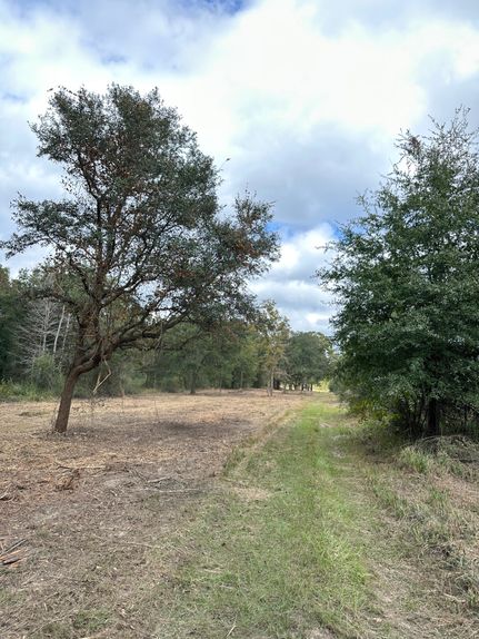 Ranch Property in Mobile County, Alabama