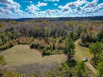 Timberland Property in Macon County, Georgia