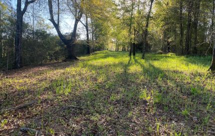 Farm Property in Coffee County, Alabama