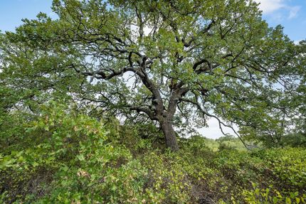 Property in Jack County, Texas