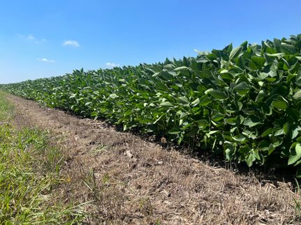 Farm Property in Livingston County, Illinois