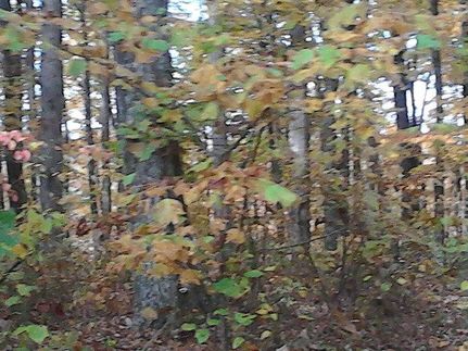 Farm Property for sale in Fentress County, Tennessee