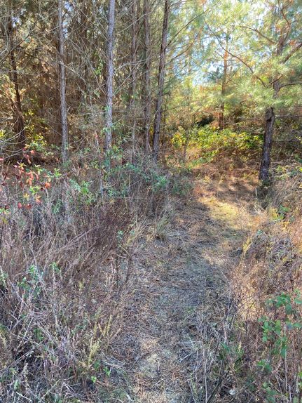Residential Property in Chattooga County, Georgia