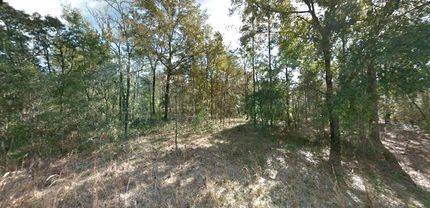 Farm Property in Levy County, Florida