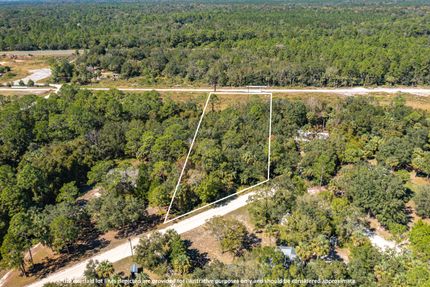 Undeveloped Land in Levy County, Florida
