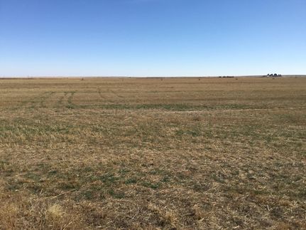 Undeveloped Land for sale in Weld County, Colorado