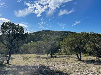 Undeveloped Land for sale in Hays County, Texas