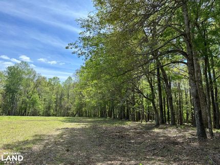 Farm Property in Berkeley County, South Carolina