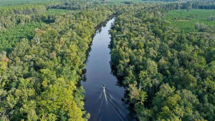 Property in Wakulla County, Florida