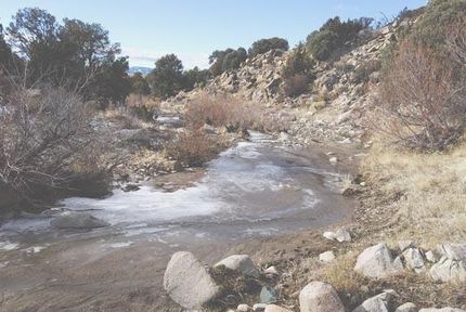 Farm Property in Douglas County, Nevada