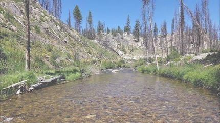 Farm Property in Boise County, Idaho