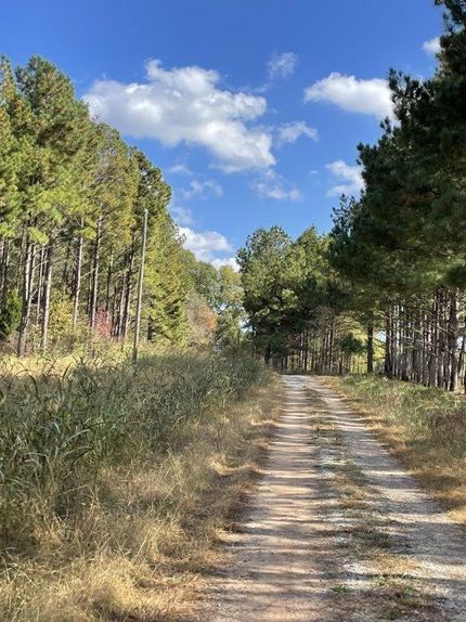Timberland Property in Morgan County, Georgia