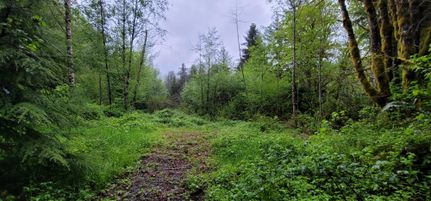 Property in Lane County, Oregon