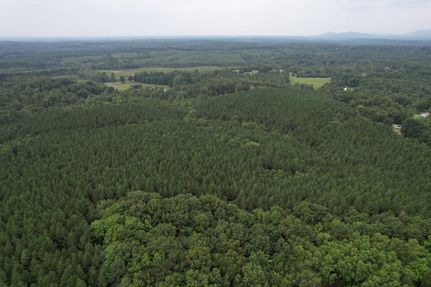 Hunting Land in Henry County, Virginia