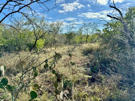 Farm Property in Atascosa County, Texas