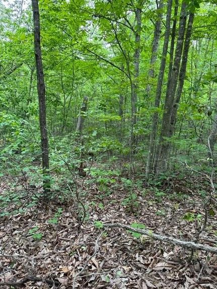 Property for sale in Fentress County, Tennessee