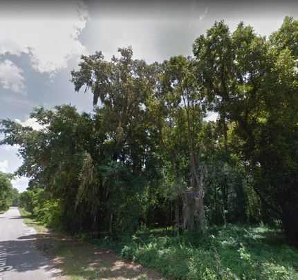 Ranch Property in Taylor County, Florida