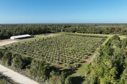 Farm Property in Jackson County, Florida