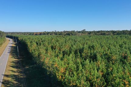 Ranch Property in Brunswick County, North Carolina