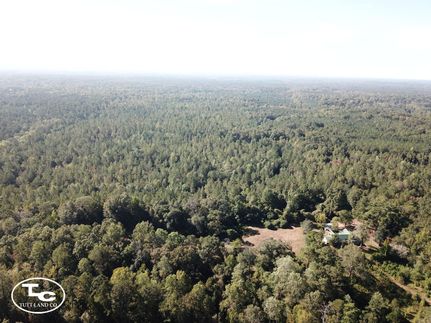 Recreational Property in Wilcox County, Alabama