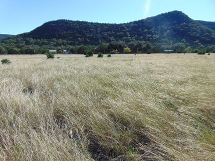 Ranch Property for sale in Real County, Texas