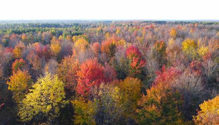 Farm Property in Price County, Wisconsin