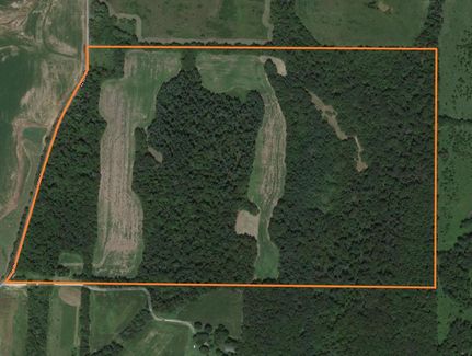 Farm Property in Pike County, Illinois