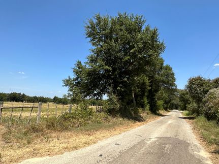 Farm Property in Freestone County, Texas