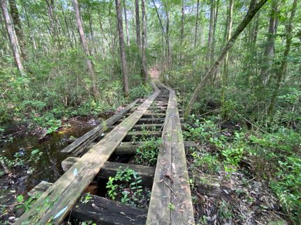 Recreational Property in Clarke County, Alabama