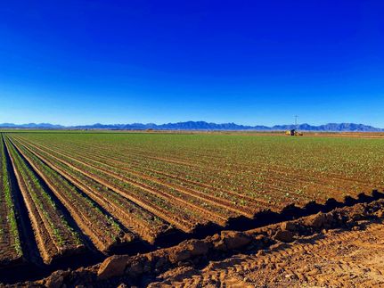 Farm Property for sale in Yuma County, Arizona