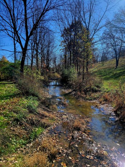 Farm Property in Boone County, Kentucky