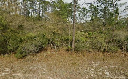 Ranch Property in Putnam County, Florida