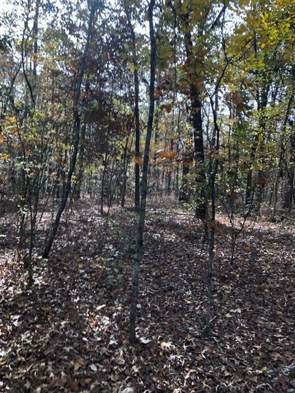 Property in Upson County, Georgia