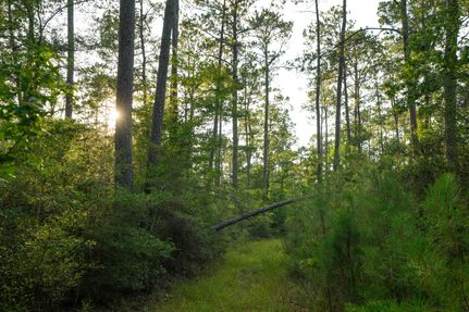 Property in Newton County, Texas