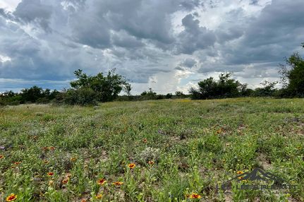 Timberland Property in Menard County, Texas