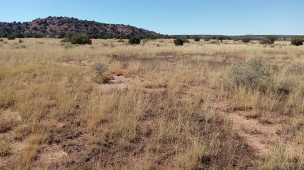 Property in Navajo County, Arizona