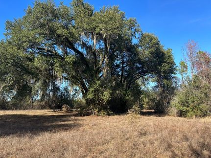 Undeveloped Land in Houston County, Alabama