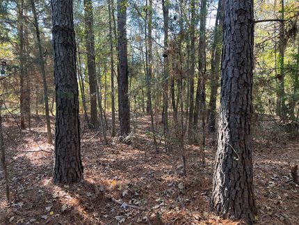 Ranch Property in Morris County, Texas