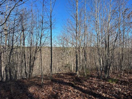 Undeveloped Land in Marion County, Tennessee