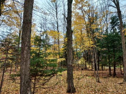 Timberland Property in Marinette County, Wisconsin