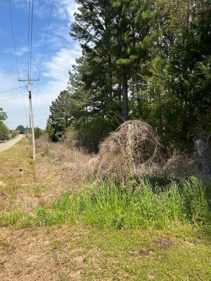 Hunting Land in Houston County, Alabama