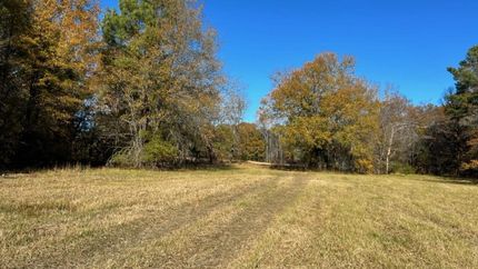 Property in Red River County, Texas