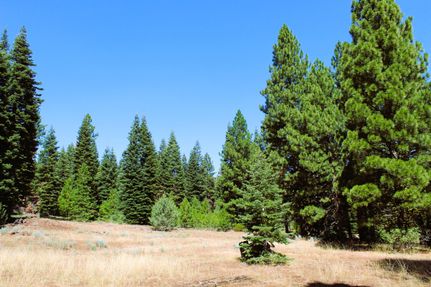 Commercial Property in Modoc County, California